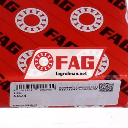 FAG 6024 rulman resim 5