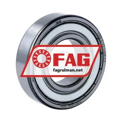 FAG 6206-C-2Z-L069-C3