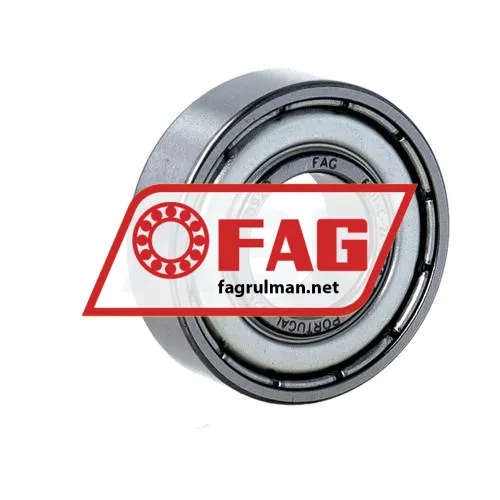 FAG 6001-C-2Z-L069