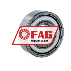 FAG 6001-C-2Z-L069