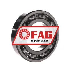 FAG 6213-P6
