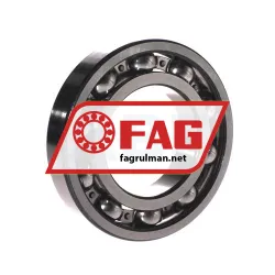 FAG 6213-P6 rulman resim 2