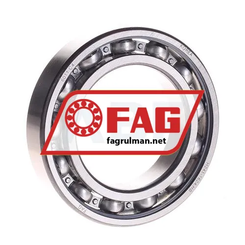 FAG 6011-C4