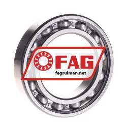 FAG 6011-C4