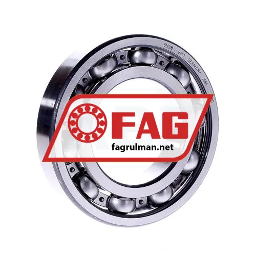 FAG 6213