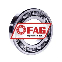 FAG 6213