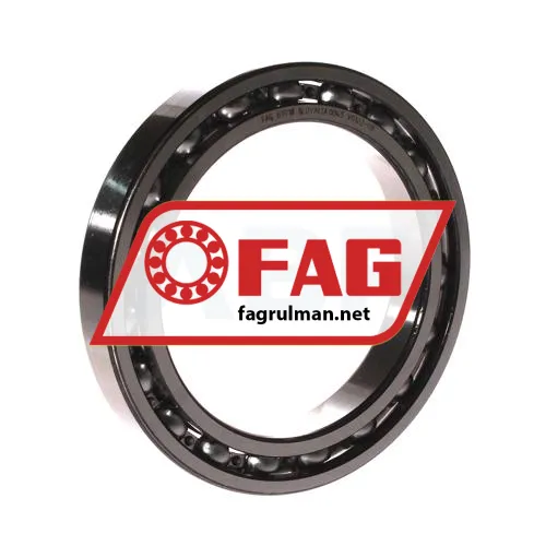 FAG 61918