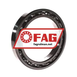 FAG 61918