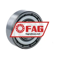 FAG 629-C-2Z-L038