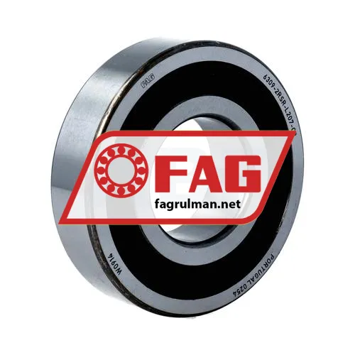 FAG 6309-2RSR-L207-C3
