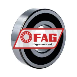 FAG 6309-2RSR-L207-C3 rulman resim 2