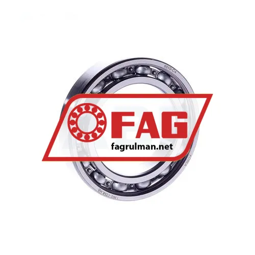FAG 6010-C4