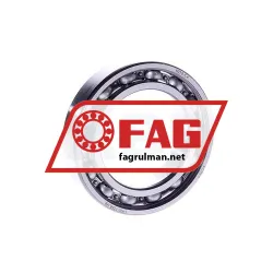 FAG 6010-C4
