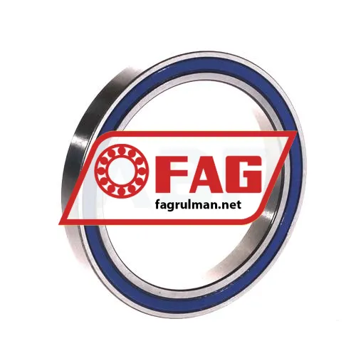 FAG 61809-2RZ-Y