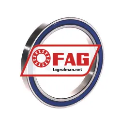 FAG 61809-2RZ-Y