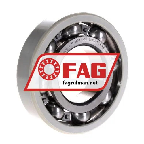FAG 6313-J20AA-C3