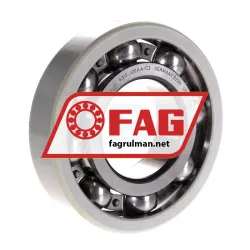 FAG 6313-J20AA-C3
