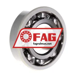 FAG 6313-J20AA-C3 rulman resim 2