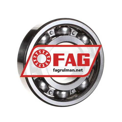 FAG 6309-N