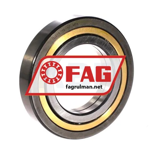 FAG 6228