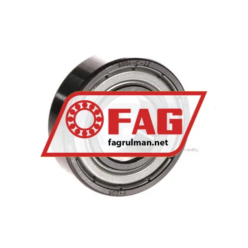FAG 6004-C-2Z