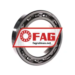 FAG 6020-C3