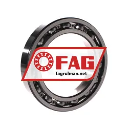 FAG 6020-C3 rulman resim 2