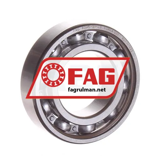 FAG 6005-S1-C3
