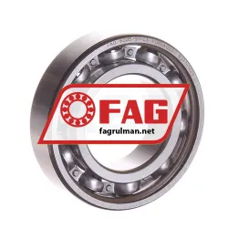 FAG 6005-S1-C3