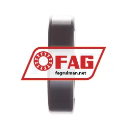 FAG 6005-S1-C3 rulman resim 2