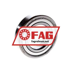 FAG 6006-2ZR-C3