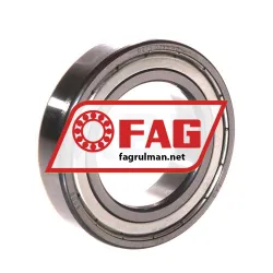 FAG 6008-2ZR