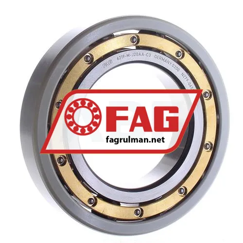 FAG 6219-M-J20AA-C3