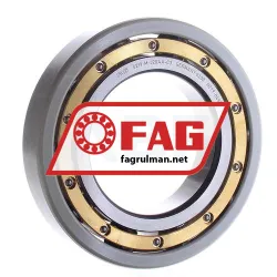 FAG 6219-M-J20AA-C3