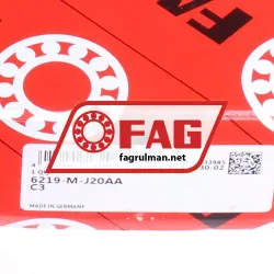 FAG 6219-M-J20AA-C3 rulman resim 5