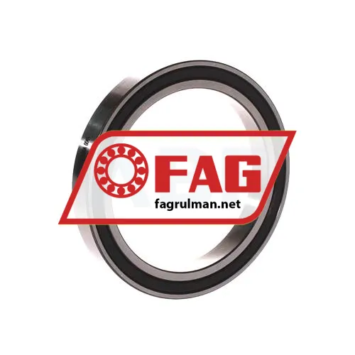 FAG 61811-2RSR-Y