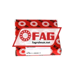 FAG 61811-2RSR-Y rulman resim 3