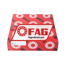 FAG 6317-Z rulman resim 3