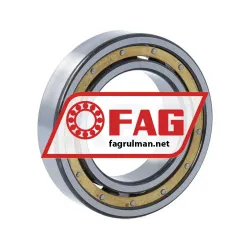 FAG 6009-MA-C3 rulman resim 2