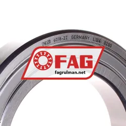 FAG 6018-2Z rulman resim 2