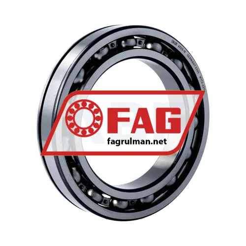 FAG 6020-N
