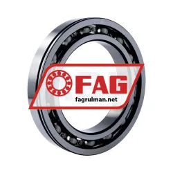 FAG 6020-N rulman resim 2