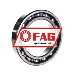 FAG 6019-Z rulman resim 2