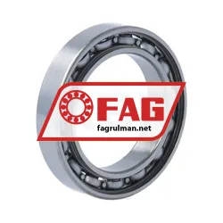 FAG 61805