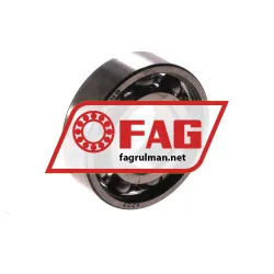 FAG 6002