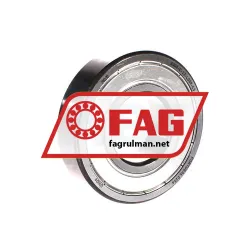 FAG 6308-C-2Z-L069-C3