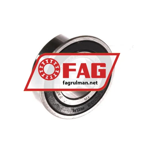 FAG 16003-A-2RSR-C3