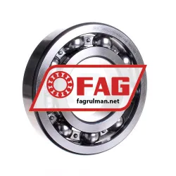 FAG 6319-C3