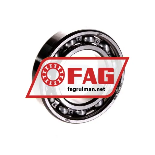 FAG 6007