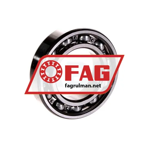 FAG 6007 ürün fotoğrafı 2